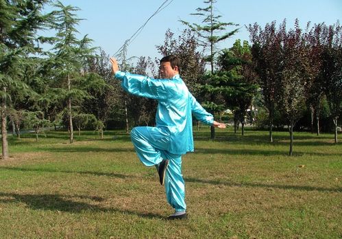 兩儀拳 制人之法亦 救人