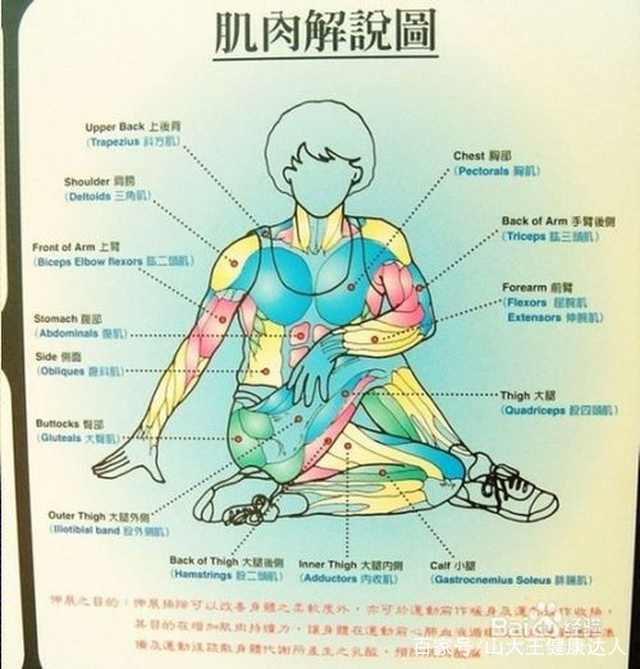 筋長一寸,壽長十年,經絡養生,拉筋法,拉筋方法,易筋經,氣功 療法 氣血 治療