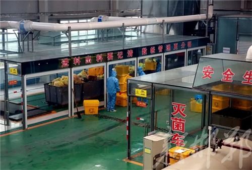 記者探訪邯鄲醫療廢物處置工廠 他們是消滅新冠病毒的最后把關人