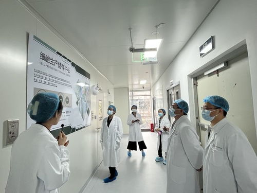 華西健康谷參與省級藥監局細胞治療監管研究，推動氣功醫療與現代化監管融合發展