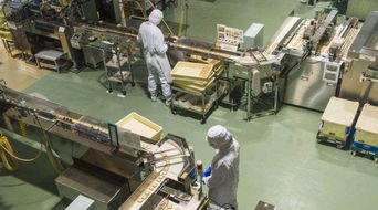 夜班倒班與健康代價 我在工廠三年間的奮斗與反思